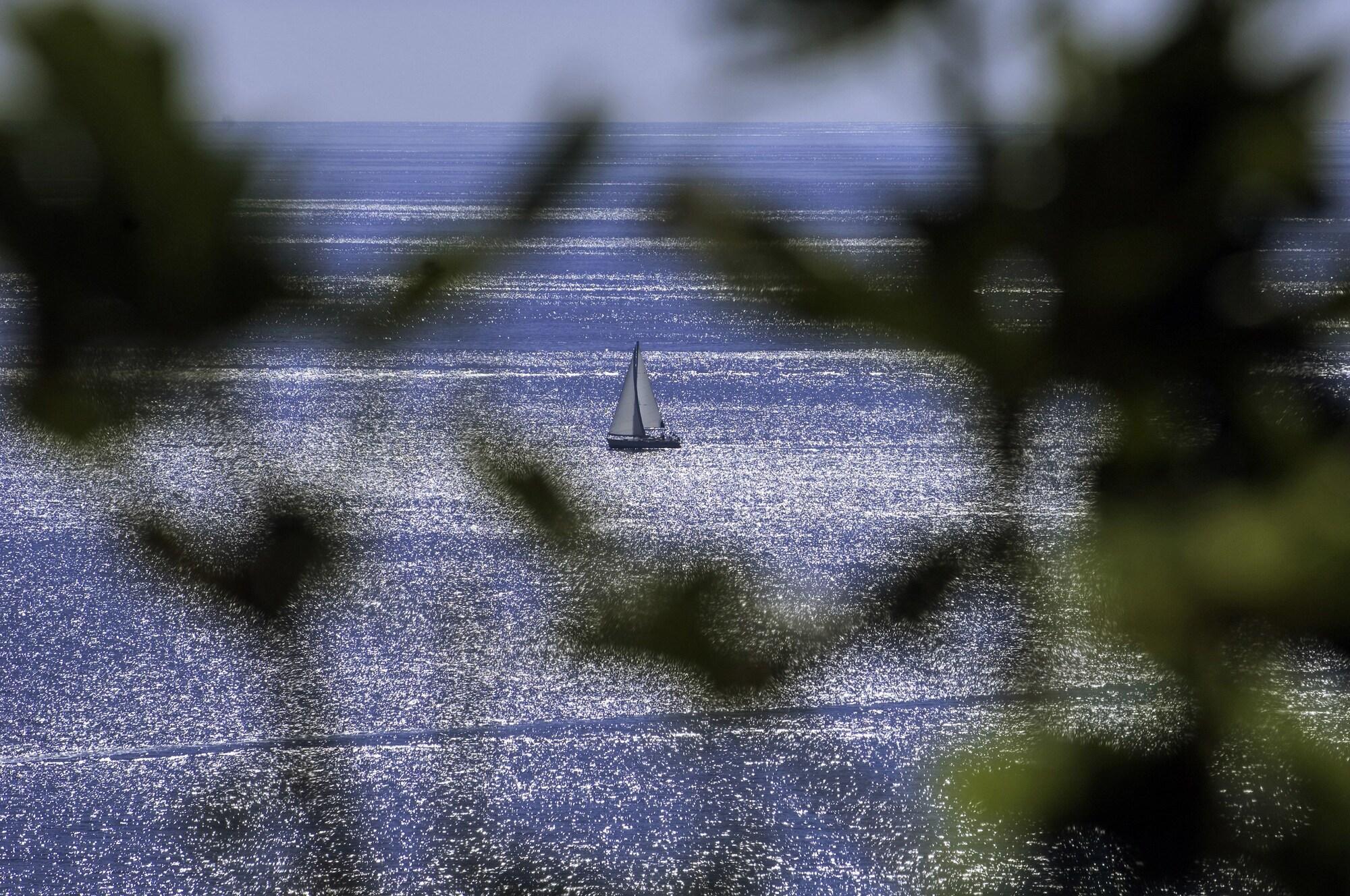Rivalmare Beach Boutique Hotel - New! Novigrad Istria Exterior foto